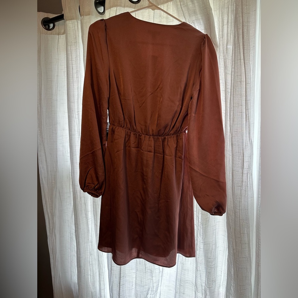 Rose express satin dress